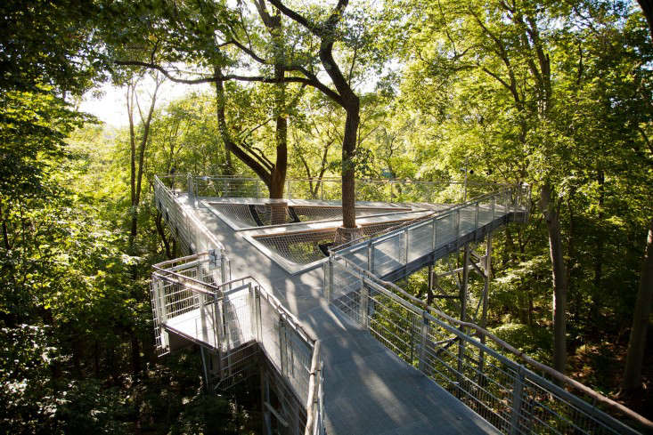 For more, see A View from the Treetops in Philadelphia. Photograph by Jeffrey Stockbridge.