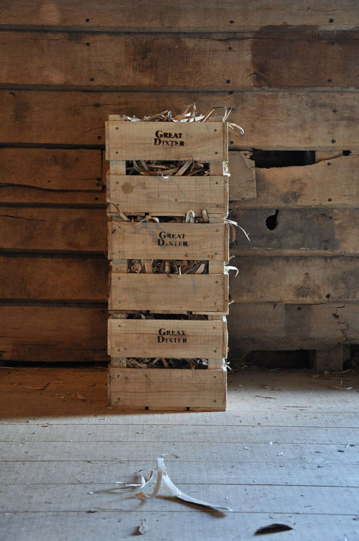 apple crates and kindling, Great Dixter Shop