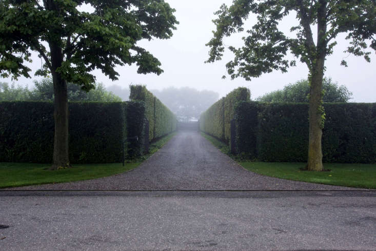 Hornbeams line driveway at entrance to Watermill, NY garden designer Quincy Hammond