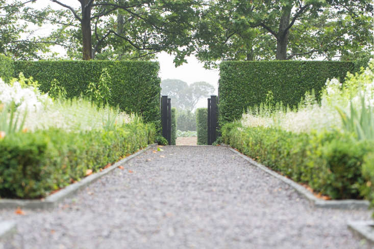 Landscape architect Quincy Hammond designed a white garden with perennial beds of lilies, catmint, irises, and phlox in Watermill, New York. Photograph courtesy of Quincy Hammond Landscape Architect.