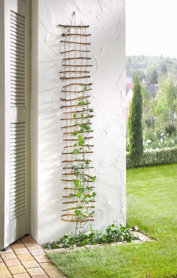 twig-trellis-frank-flechtwaren-gardenista