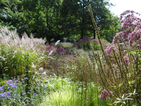 Designer Visit: Piet Oudolf's Otherworldly Garden at Hauser