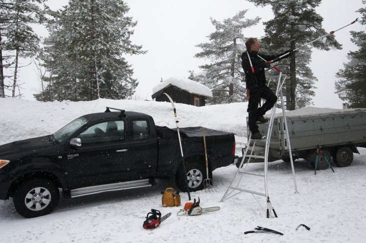 Photograph via Niwaki, from DIY: Pruning Pine Trees in Winter.