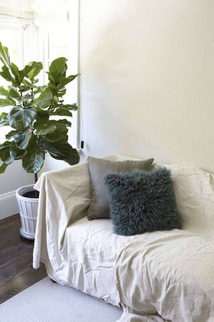 A fiddle leaf fig tree goes mobile.Photograph by Katie Newburn. For more, see Houseplants in the Bedroom, Teen Edition.