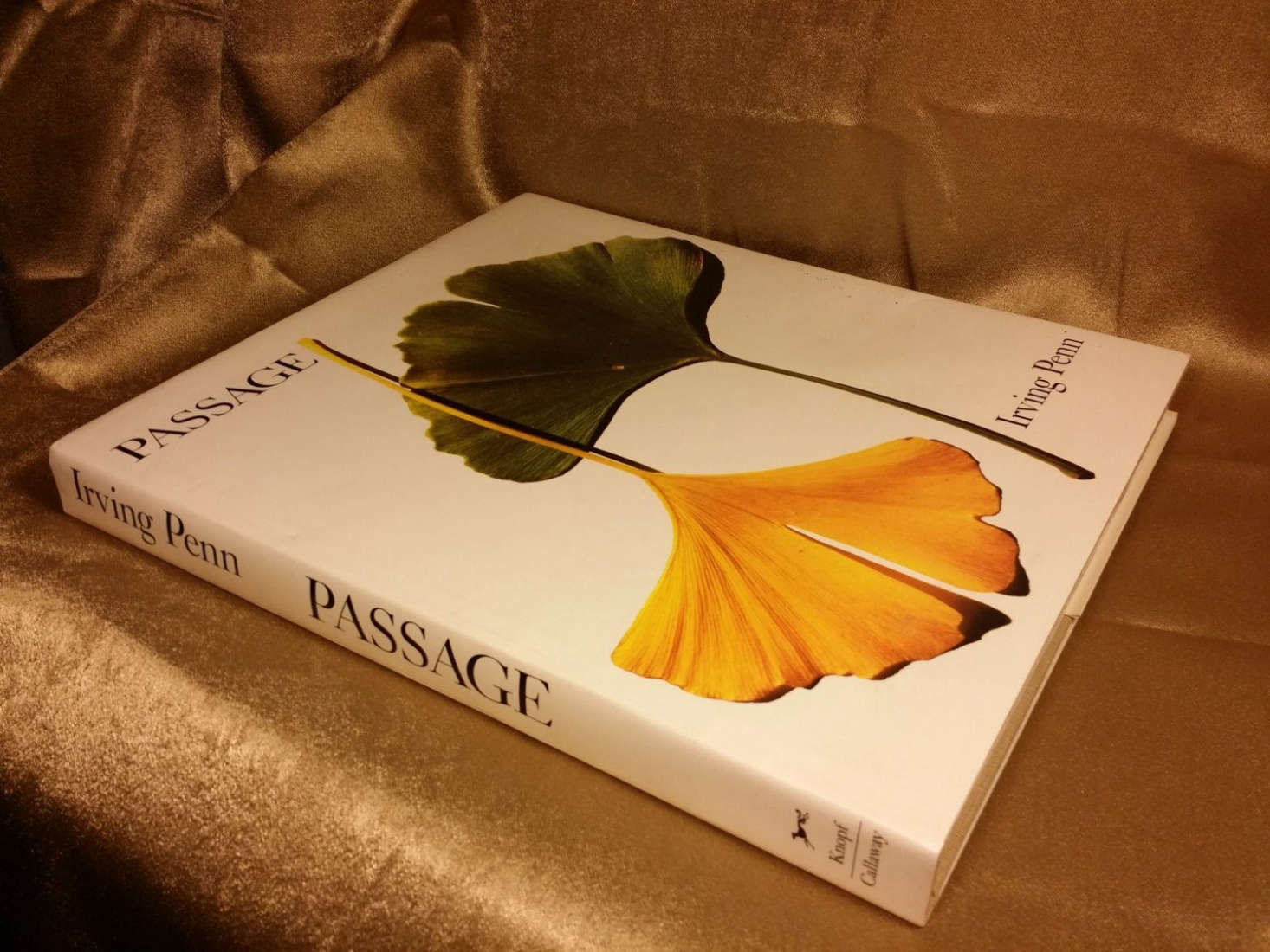 A vintage copy of Passage by Irving Penn is $99.90 from Storenvy.