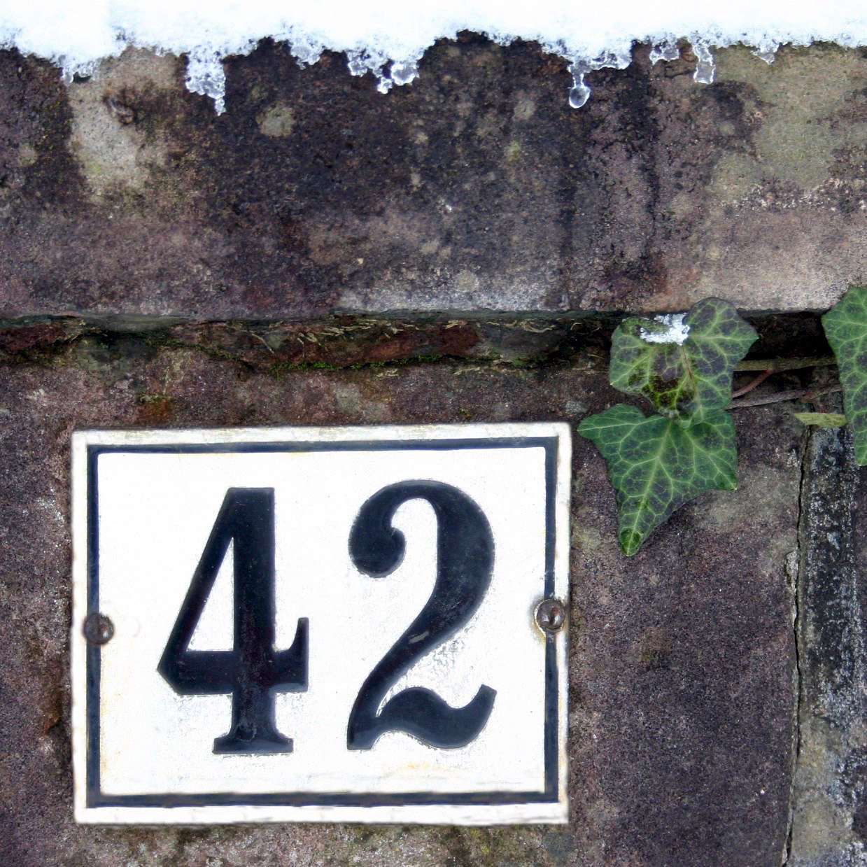 Photograph by Till Westermayer via Flickr.