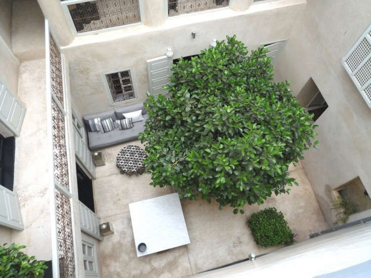 See more of this garden at Marrakech Modern: A Remodeled Riad for Rent on Remodelista. Photograph by Martin Raffone.