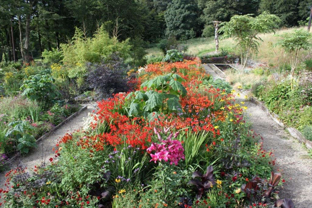 A garden bed is a riot of color with perennials such as lilies in bloom in summer.