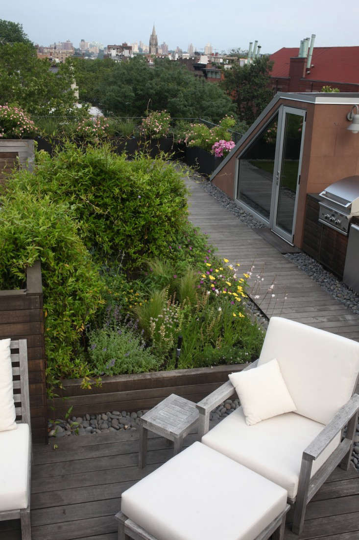 Ask the Expert: Roof Garden Basics with Designer Julie Farris - Gardenista