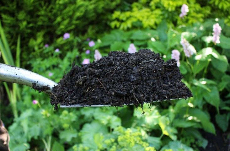 Compost, your secret weapon in the garden. Photograph by Jim Powell for Gardenista