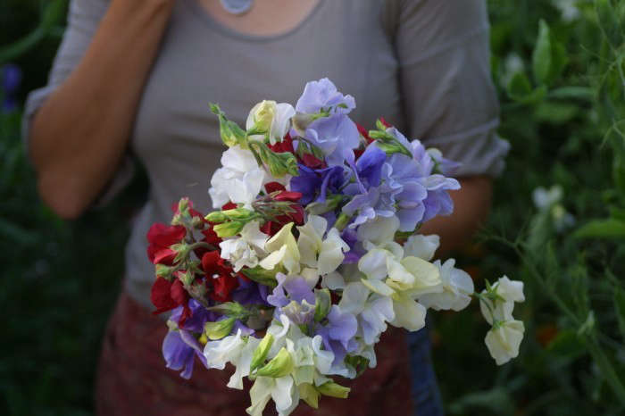 Floret Farm Tours 