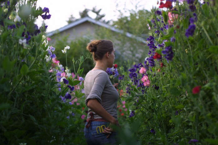 Ask the Expert: 7 Tips to Grow Cut Flowers in a Tiny Garden