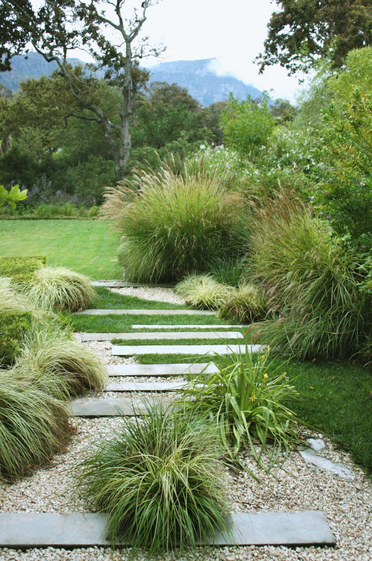Sedge Grass Landscape
