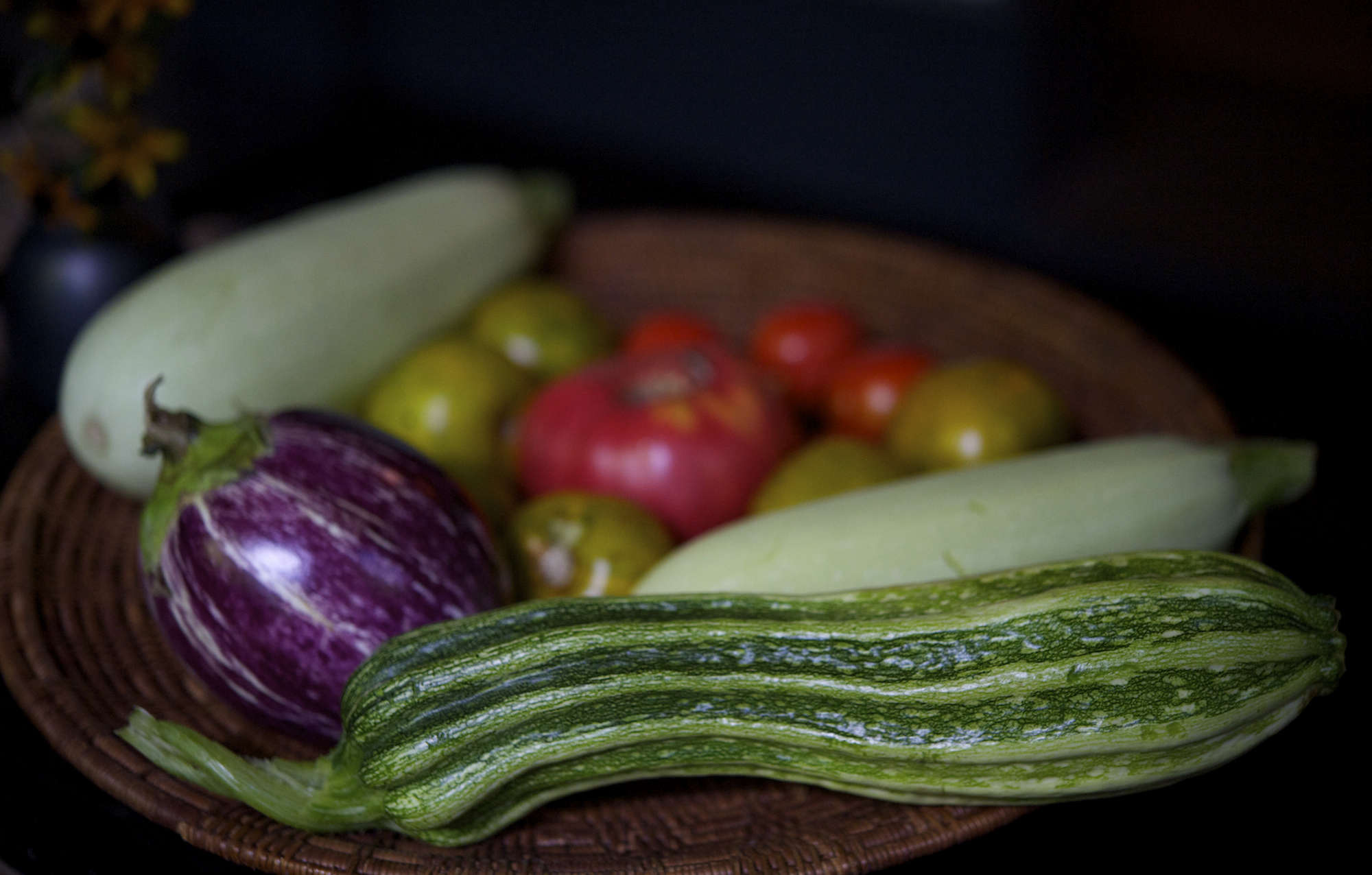 Garden-to-Table Recipe: Zucchini Carpaccio (and Other Squash Solutions ...