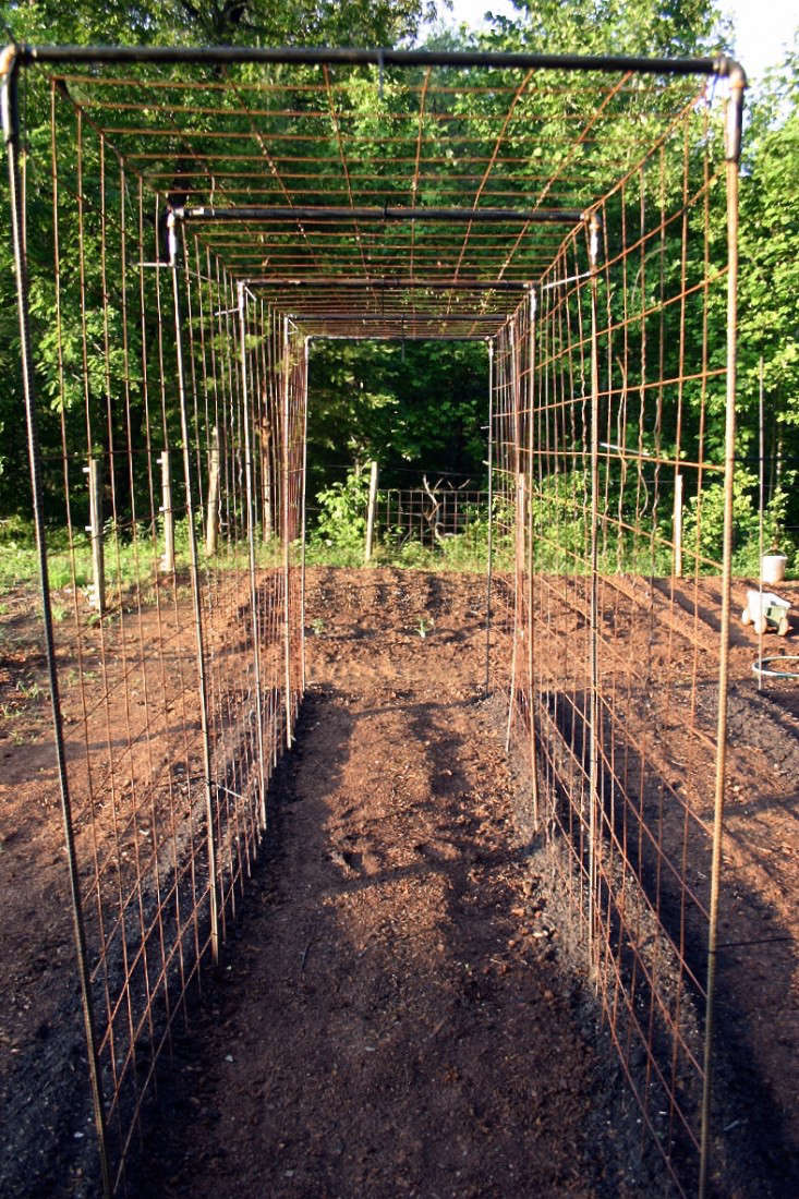 how to make a DIY wire plant trellis