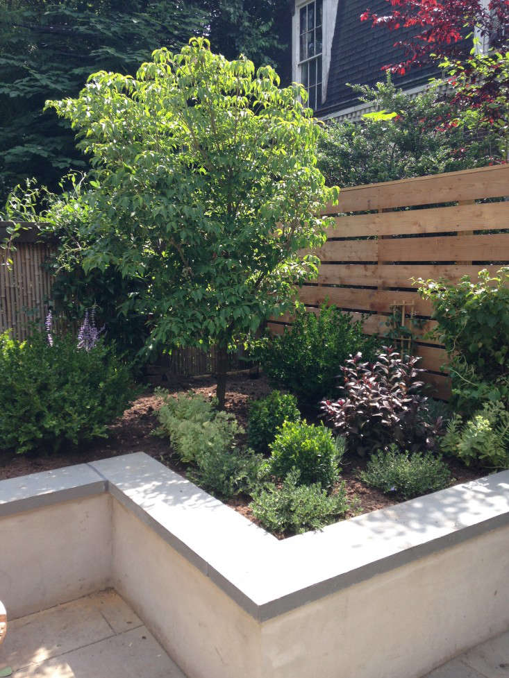 brooklyn-prospect-townhouse-garden-planting-bed-stucco-gardenista