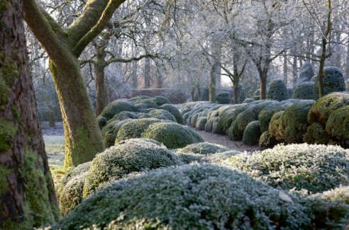 Expert Advice: 7 Tips to Put Your Garden to Bed for the Winter - Gardenista