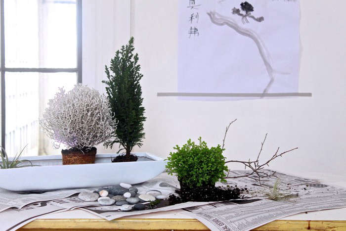 Diy A Desktop Zen Garden Gardenista