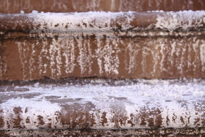 Ask the Expert: Garden Friendly De-Icing Techniques - Gardenista