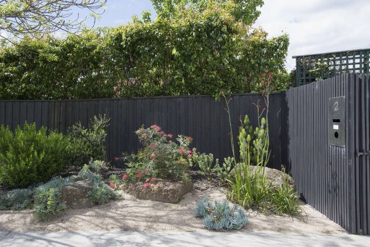 grounded-gardens-melbourne-australia-black-fence-front-gate-gardenista