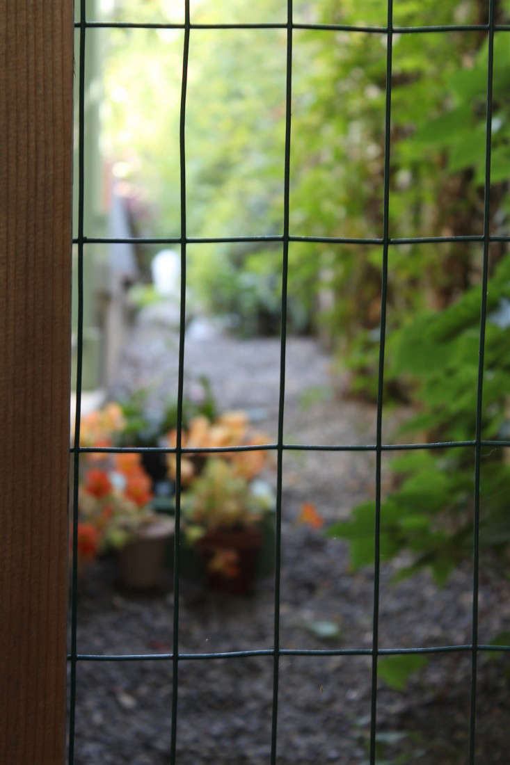 Contemporary Hog Wire Trellis