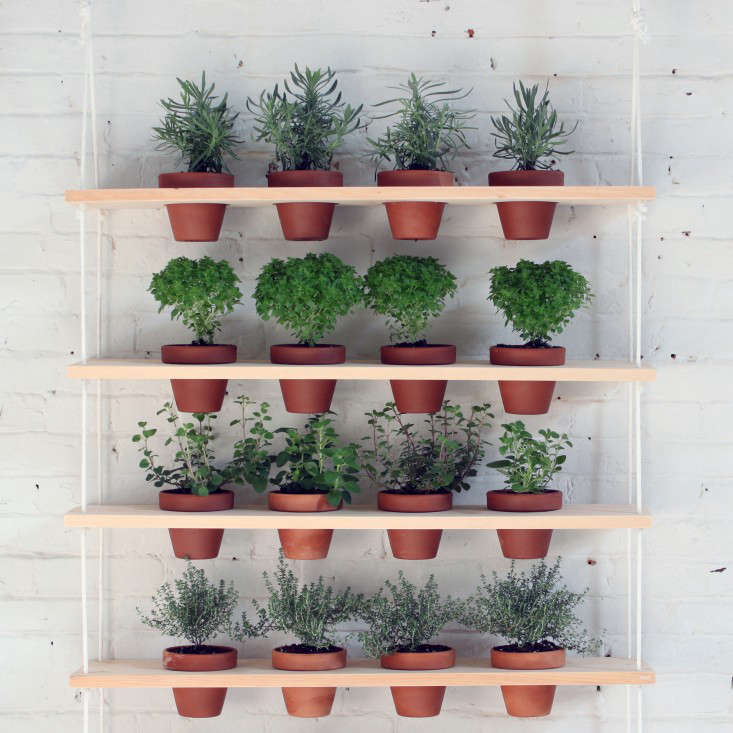 DIY Hanging Garden Shelves for a Small Space Gardenista