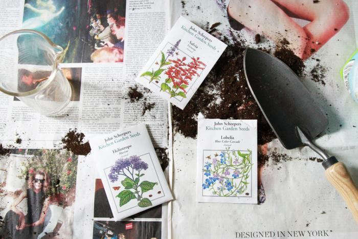 Connecticut-based John Scheepers Kitchen Garden Seeds sells a wide selection of heirloom vegetable and culinary herb seeds. Photograph by Erin Boyle.