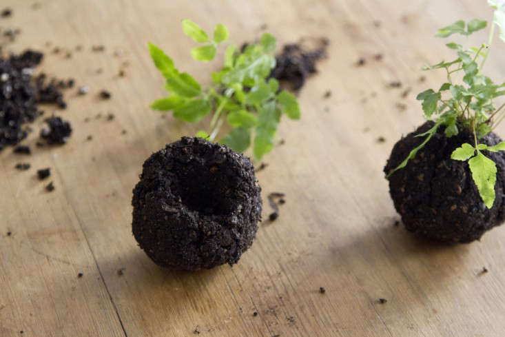 Kokedama string ball hanging planter by Erin Boyle