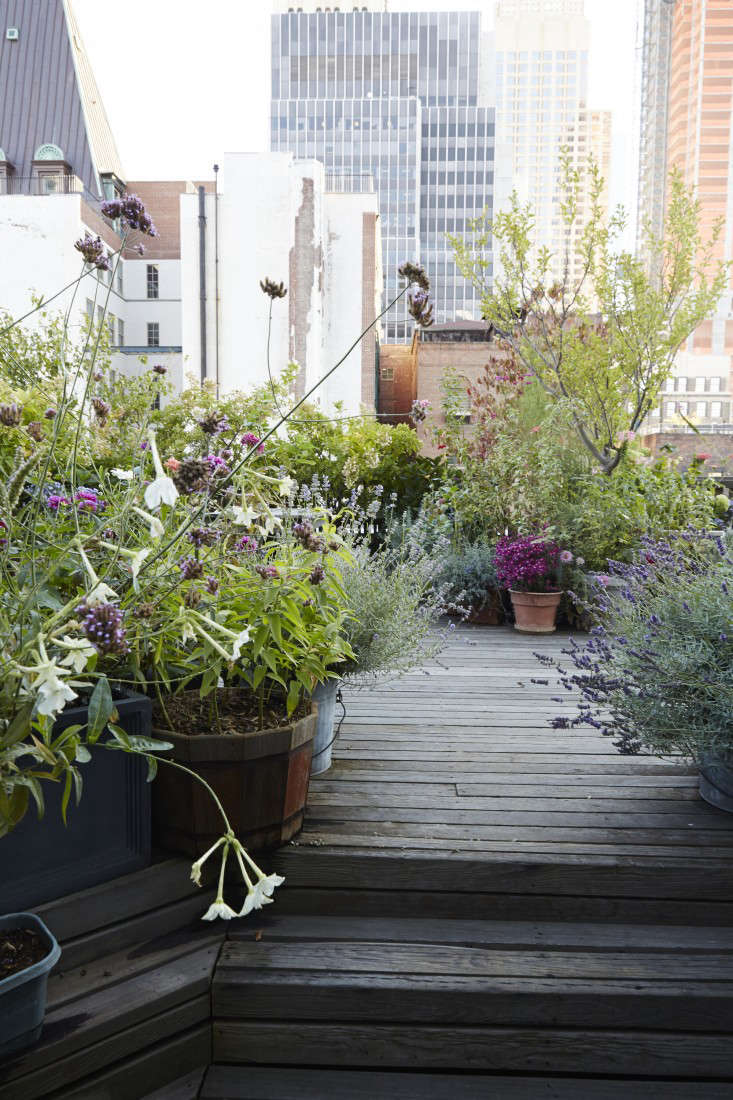 Garden Visit: At Home with Designer Julie Weiss in Manhattan