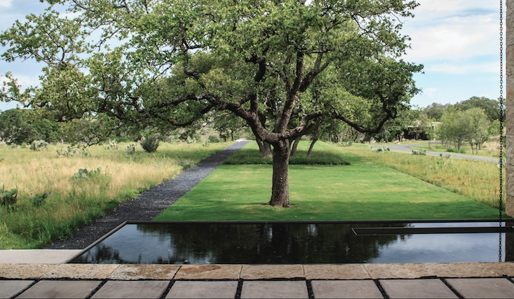 Species of opuntia cactus look like sculpture, planted in grassy strips of spiky bluestem grass. See more of this garden in Landscape Architect Visit: Postcard Views in Texas Hill Country, by Studio Outside. Photograph by Arlen Kennedy and Robert Reck, courtesy of Studio Outside.