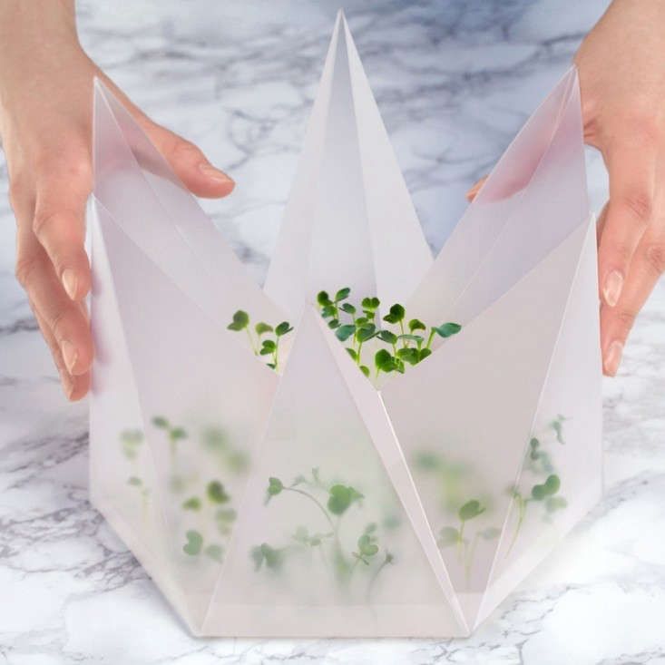 For more of Berlin-based farming incubator Infarm&#8\2\17;s kit, see Origami Seed Kit: The Gentle Art of Sprouting Salad.