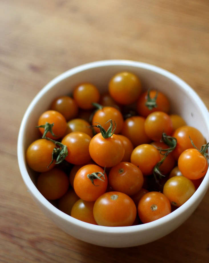 sungold-cherry-tomatoes-orange-gardenista