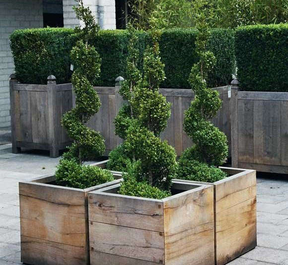 Browse the Issue of The Low Countries on - Gardenista