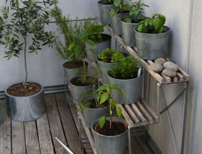Browse the Issue of Small Living on - Gardenista