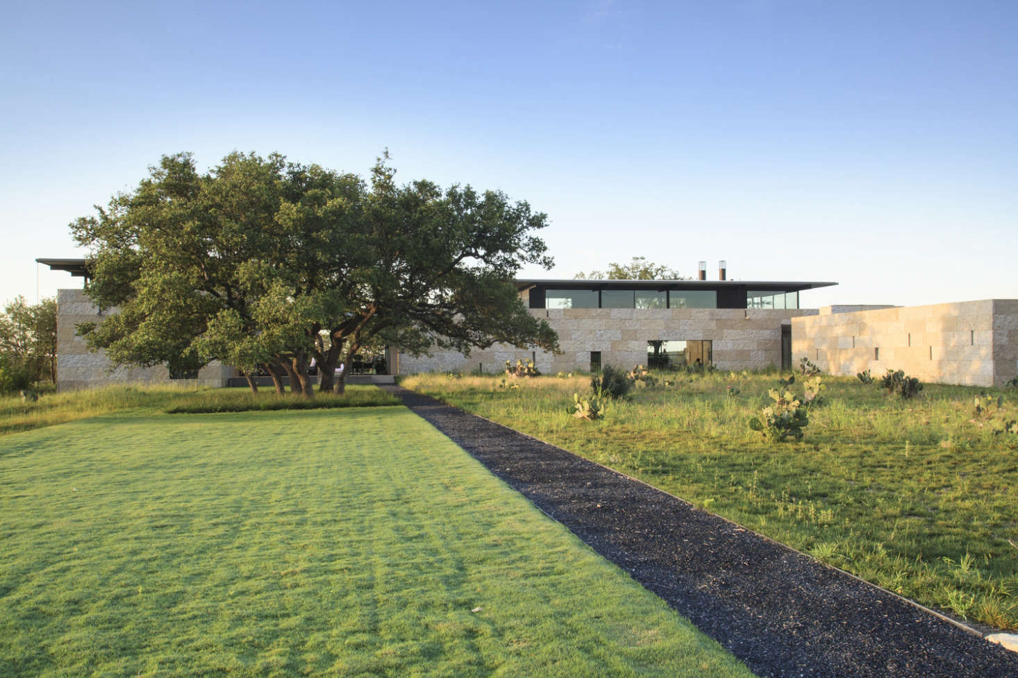 Species of opuntia cactus look like sculpture, planted in grassy strips of spiky bluestem near the main house.