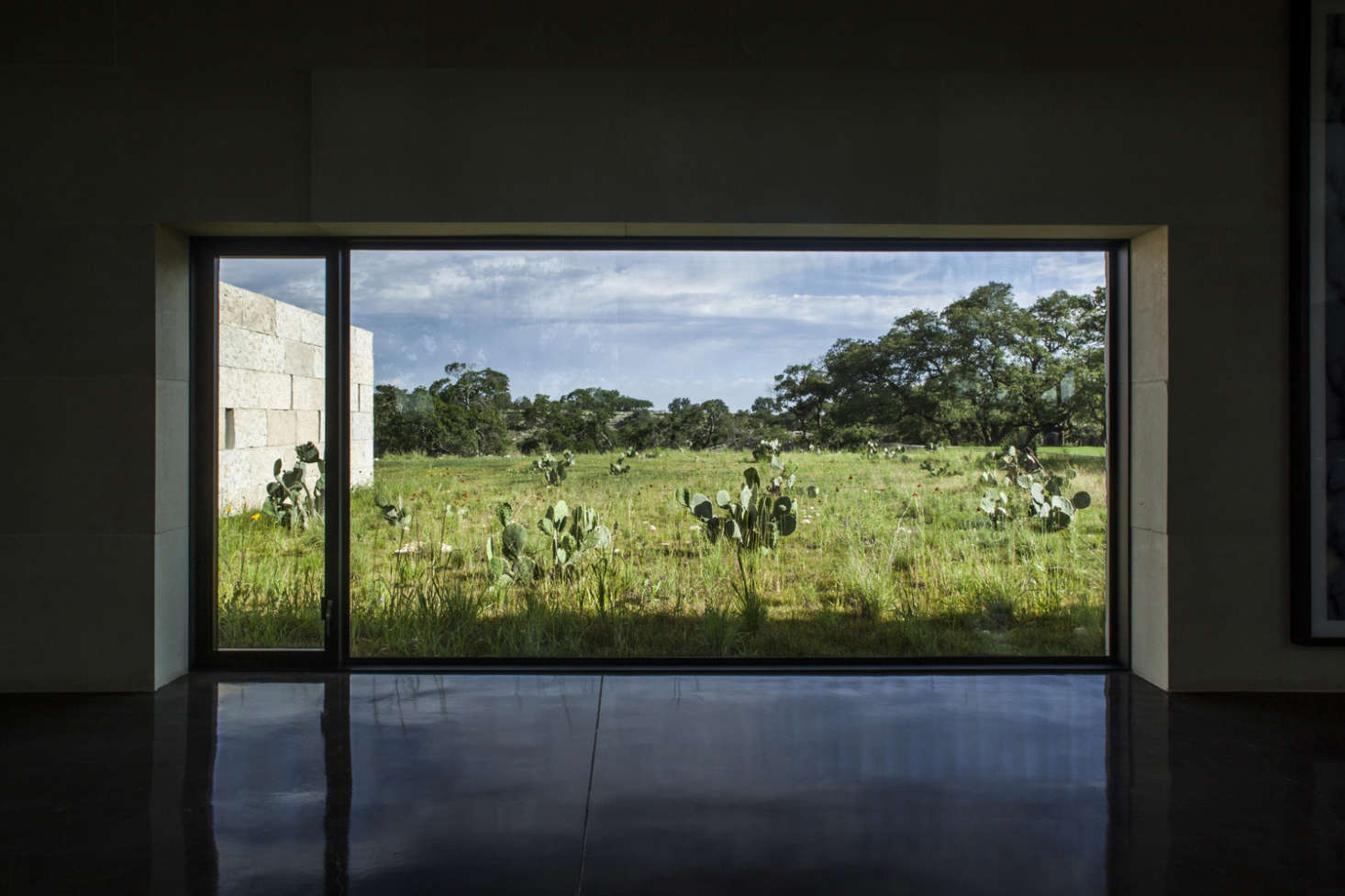 Walls of windows frame views of mature trees.