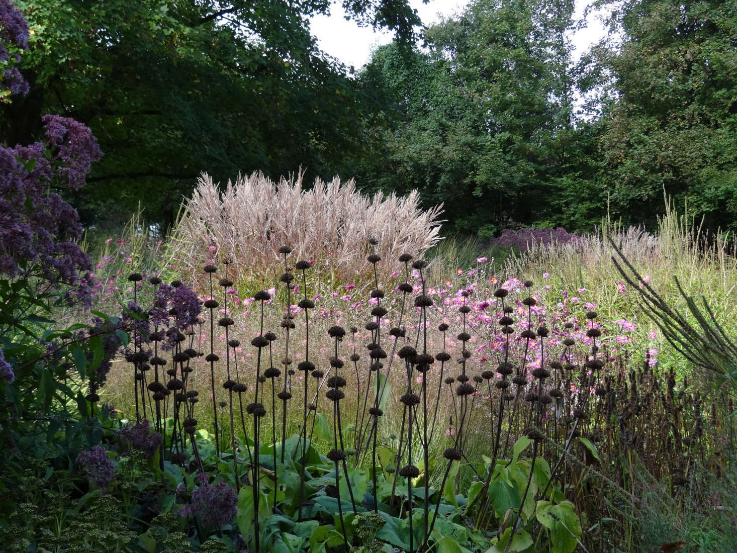 In Hamm, Germany, garden designer Piet Oudolf