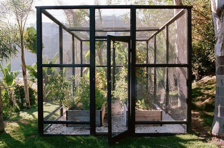 In Hollywood’s hills, garden designer Lauri Kranz of Edible Gardens LA conceived a chic enclosure more reminiscent of an Apple store than of deer fencing. For more, see Steal This Look: A Deer-Proof Garden in Hollywood Hills.