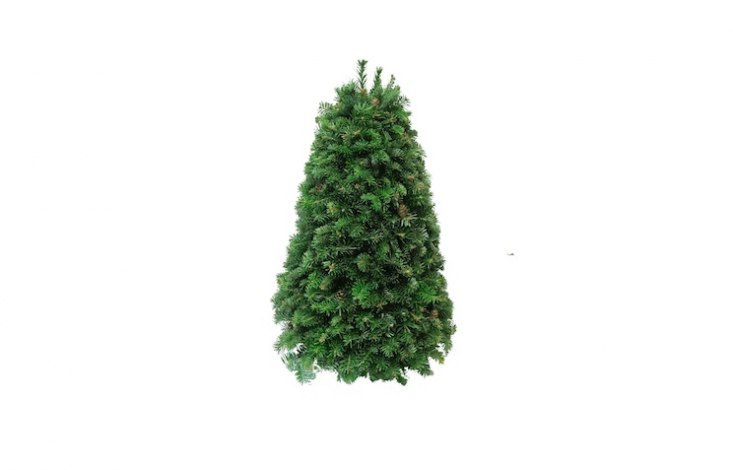 A Table Top Fraser Fir tree is \18 inches high and is \$7\1.95 from Gardens of the Blue Ridge.