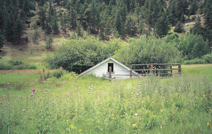 a-wilder-life-outbuilding-gardenista