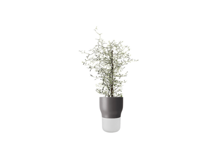 An Eva Solo Self Watering Plant Pot in gray is \$65 from John Lewis.