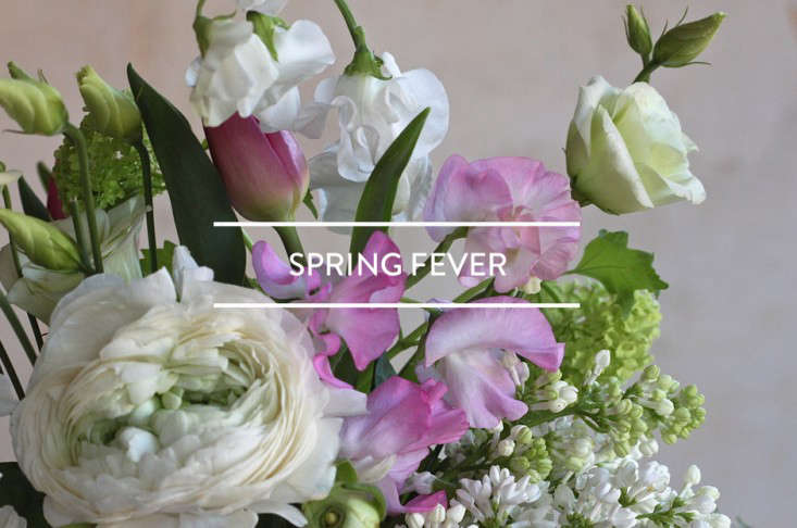 toc-spring-fever-2016-gardenista