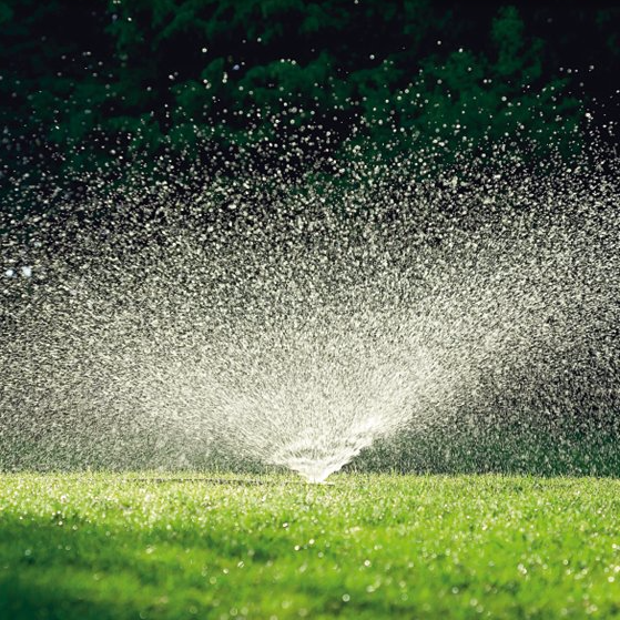 If you have live grass, a Brass Turned Sprinkler will spray water into the air in a circular pattern, &#8\2\20;for those parts of your garden where a rather narrow, but precision-adjustable sprinkling water radius is required,” notes Germany-based home and garden shop Manufactum. It is €68 (approximately \$75 US).