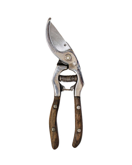 joseph-bentley-secateurs-gardenista