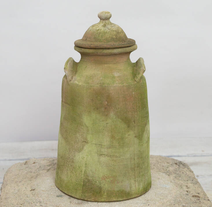 From New England Garden Company, this mossy-green Weathered Rhubarb Forcer is \$\2\25.