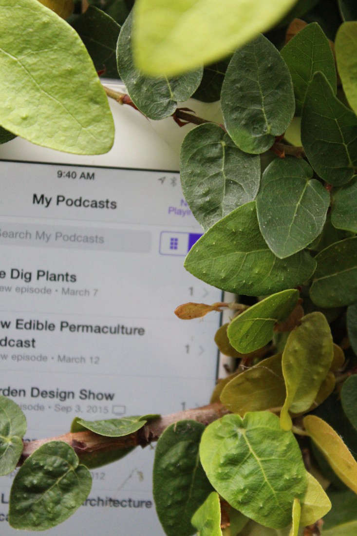 podcasts-gardens-gardening-gardenista-iphone-IMG_2902