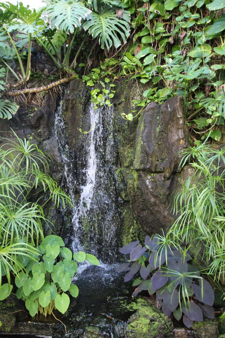 waterfall-doris-duke-shangri-la-gardenista