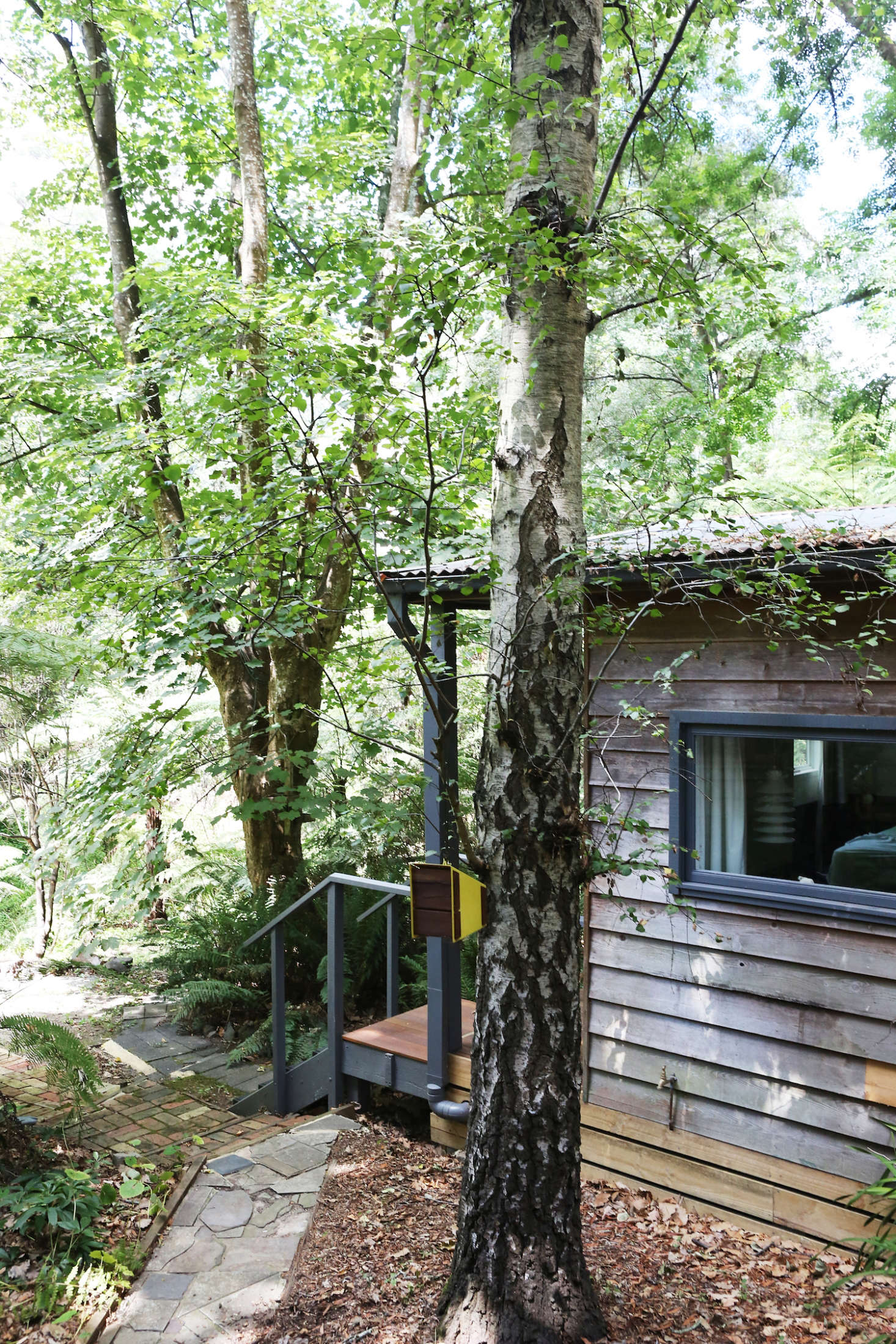 The guest house was built in the early th century and was recently remodeled by Sarah Trotter of Hearth Studio. Here, a silver birch tree offers residency for wildlife.