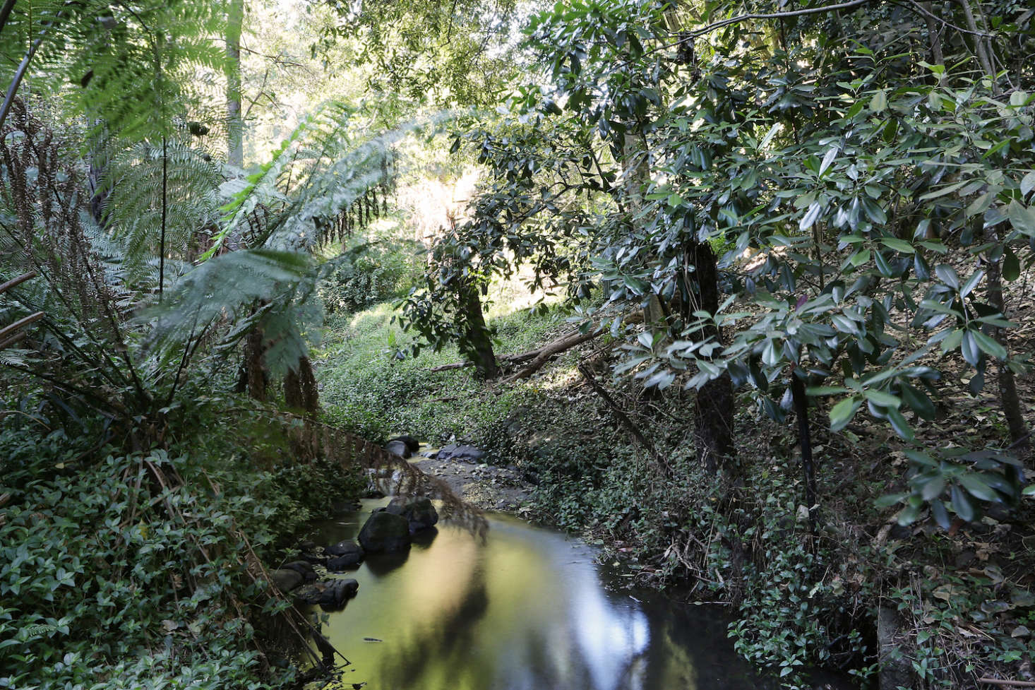 Clematis Creek meanders behind the property; from the residence, you can hear its burble. Wildlife can be spotted here, including wombats, wallabies, the tiny marsupials called antechinus, and sometimes even platypuses.