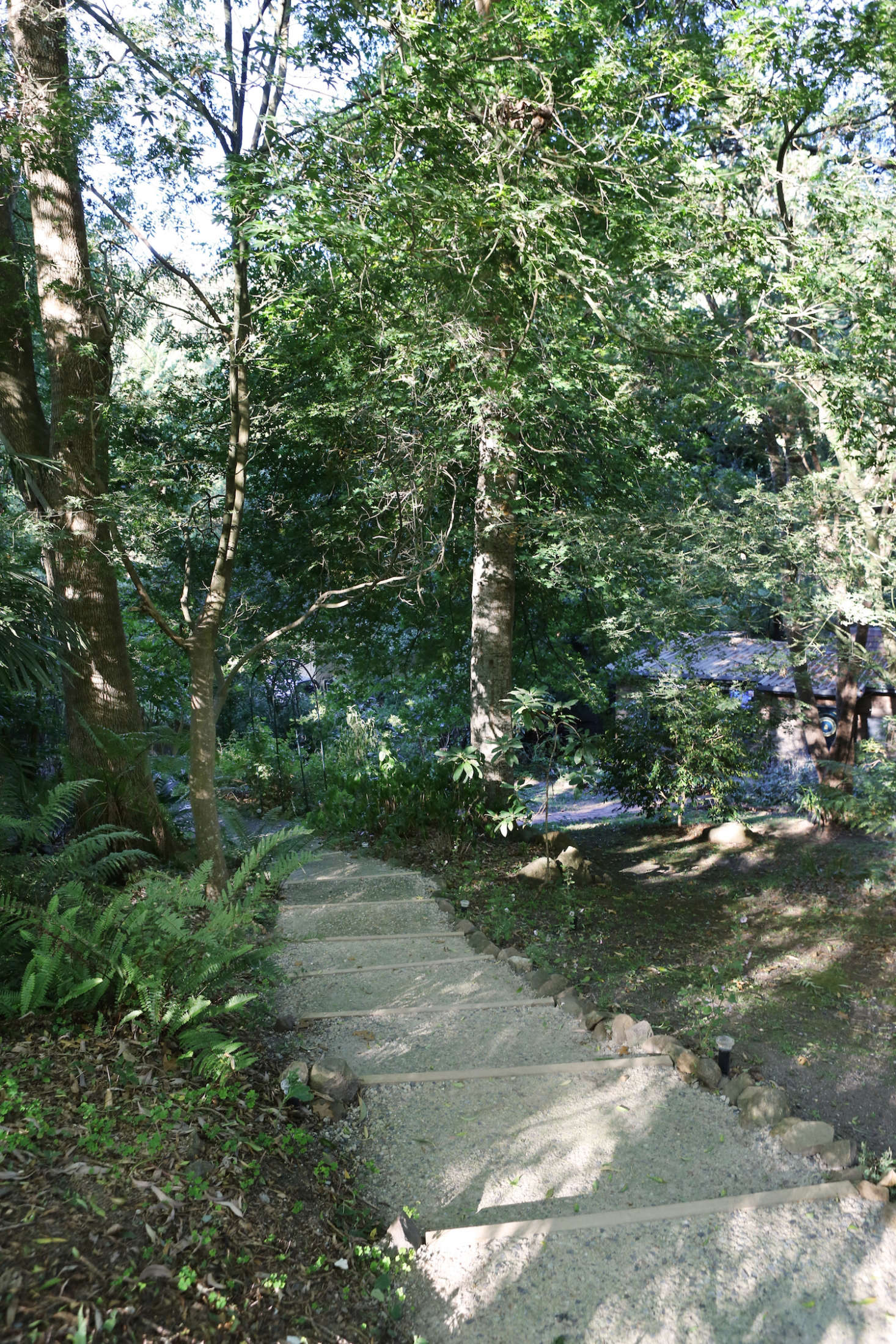 The property is part garden, part natural bushland, a mix that the owners call “both tranquil and invigorating.” The gardens feature more than 80 types of plants, including bromeliads, rhododendrons, and fan palms. Ferns dominate the mix, including tree ferns, mother ferns, and fishbone ferns—a motif that